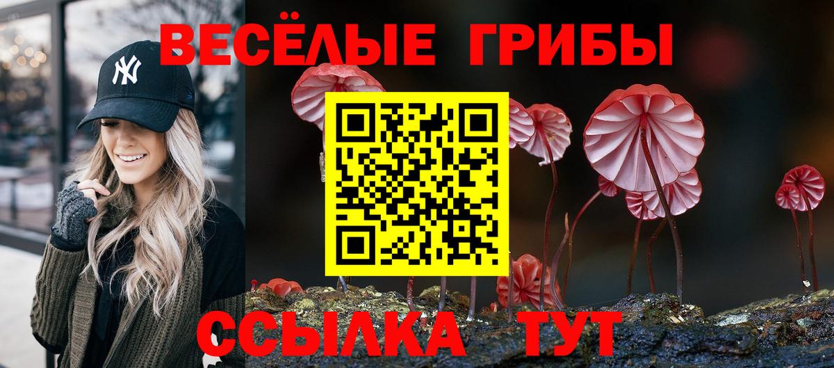 Псилоцибиновые грибы мухоморы  Вход с VPN  Псилоцибиновые грибы Cubensis  Жигулёвск 